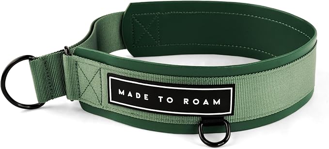 MADE TO ROAM Premium Everyday Dog Collar - Martingale Style No Pull Vegan Leather Collar, Heavy Duty and Lightweight for Small, Medium, Large Dogs (Oregon Haze, Size 12)