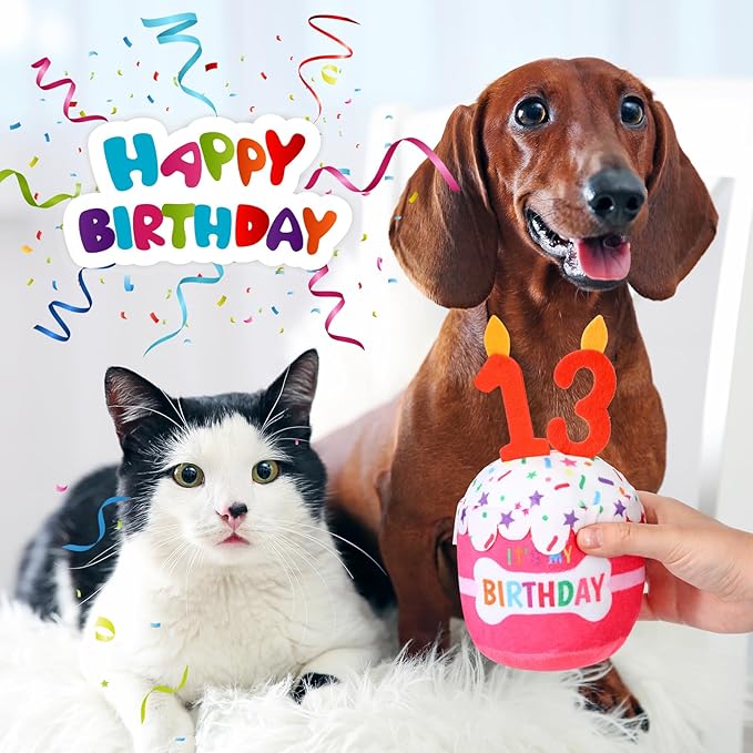Dog Birthday Cake Toy Accessories for Girl Boy Gifts, Squeaky Plush Toy for Dog Birthday Party Decor Favor for Large, Medium and Small Dogs(13th,Pink)