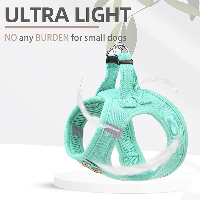 PUPTECK Dog Harness and Leash Set for Small Medium Dogs No Pull Step-in Soft Mesh Puppy Cat Vest Harnesses Reflective at Night, Denim Green S