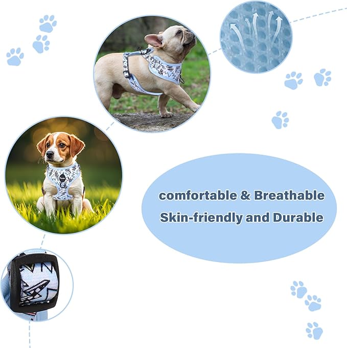 Petmolico Dog Harness and Leash Set Soft Mesh Small Dog Harnesses Vest No Pull Dog Vest Puppy Harness and Leash Set Training(Blue, Medium)