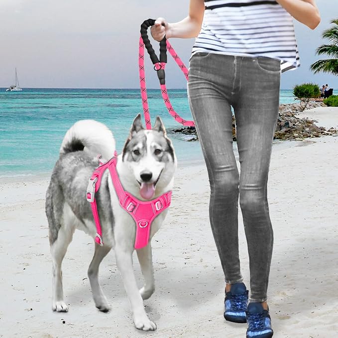 BARKBAY No Pull Dog Harness Large Reflective Dog Harness with Front Clip and Easy Control Handle for Walking Training Running with ID tag Pocket(Pink,S)