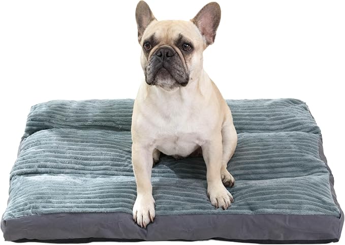 Plush Orthopedic Dog Bed for Medium/Small Dogs - Removable Washable Cover, Non-Slip Bottom, Crate-Friendly Comfort Cushion for Joint Relief, Deep Sleep & Home Decor