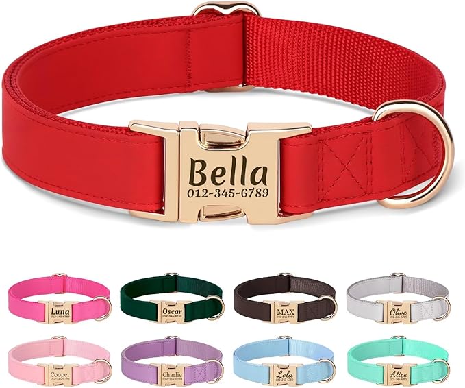 PET ARTIST Personalized Dog Collars, Custom Engraved Red Dog Collar with Silent Name Tag, Gold Quick Released Buckle & Soft Nylon Padded, Elegant Colors & Matching Leash for Medium Dogs,M Fit 13-19"