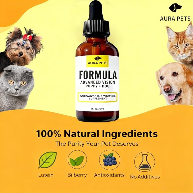 Advanced Vision Formula for Dogs, AuraPets Vision Formula, with Lutein, Zeaxanthin, Astaxanthin, Supports Vision and Reduces Cloudiness, 30ml (3)