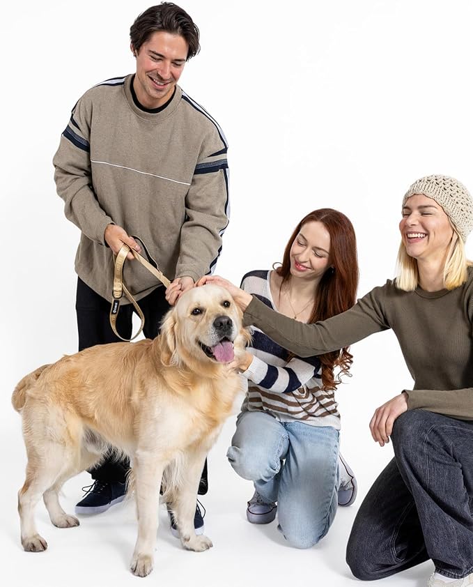 2025 New Edition, Fei & Eve Classic Dog Leash - 6FT, Dual Padded Handles, 360° Swivel Hook, Heavy Duty 210D Nylon - No-Pull Design with Traffic Control Handle - for Small/Medium/Large Dogs, Champagne