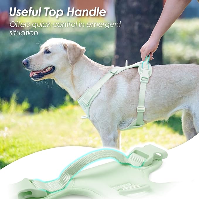 No Pull Dog Harness, Puppy Vest with Front Clip for Small Medium Large Sized Dog(Light Green,S)