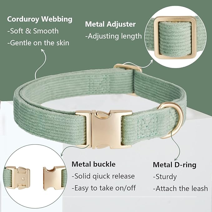 Soft Corduroy Dog Collar and Leash Set Adjustable Durable Dog Collars with Metal Buckle and Lead for Small Dogs,Grass Green