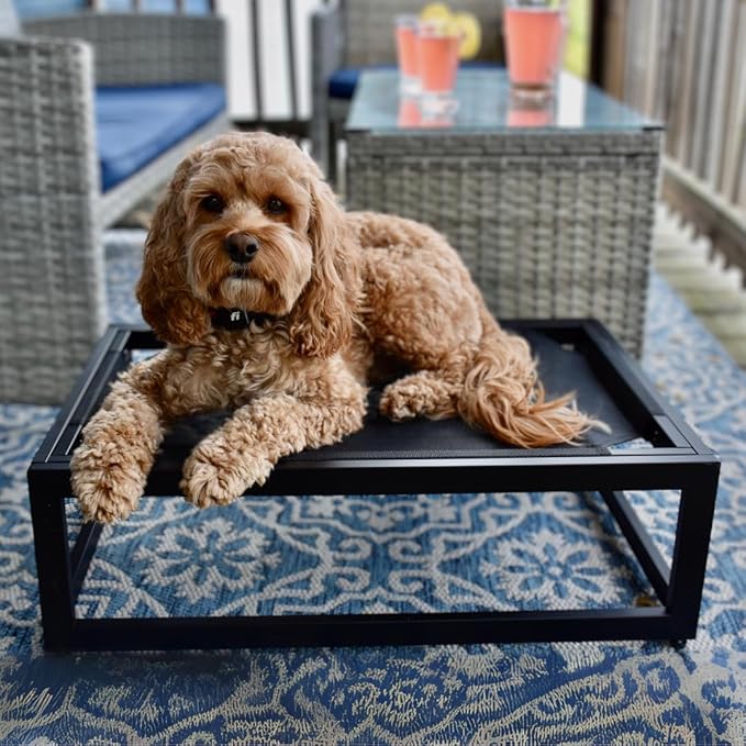 FUZI Luxury Up Pup Elevated Dog Bed, Premium Indoor & Outdoor Raised Pet Bed, Chew-Proof & Durable, Breathable Design for Comfort & Support, Dog Cot Small 26x17x8 Black