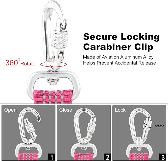Plutus Pet Heavy Duty Dog Leash with Lockable Aluminum Carabiner, 4/6 Feet Long, Double-Sided Reflective Nylon, Padded Handle, for Puppy, Small, Medium and Large Dogs (Pink, 1" x 6')