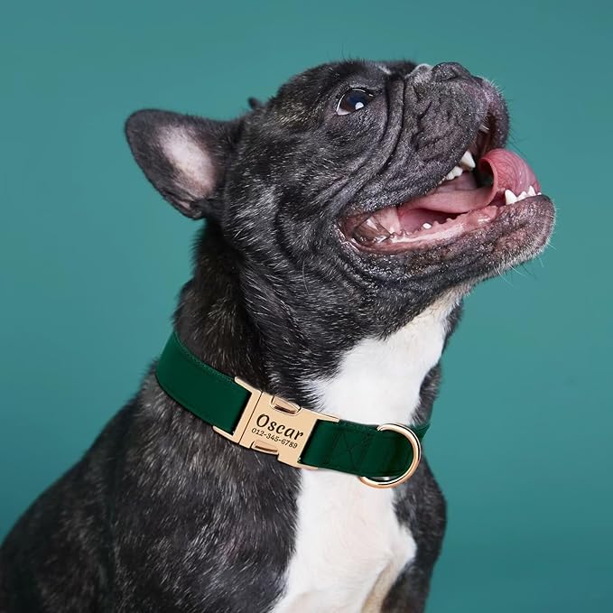 PET ARTIST Personalized Dog Collars, Custom Dog Collar with Engraved Silent Name Tag, Gold Quick Released Buckle & Soft Nylon Padded, Elegant Colors & Matching Leash for Small Dogs,Green,M Fit 13-19"
