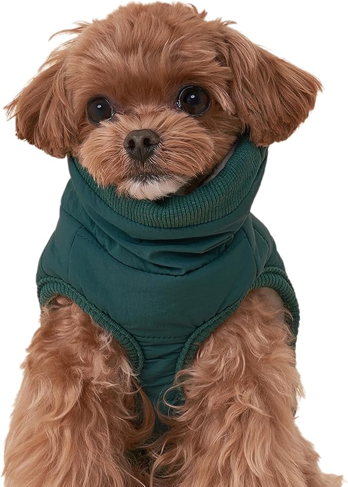Dog Winter Coat with Neck Guard, Adjustable Neck, Chest Velcro & Detachable Buckle, Warm Polyester Lining, Multi-Way Wear for Small Dogs (Dark Green, X-Small)