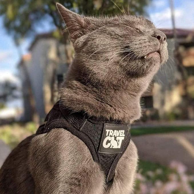 Travel Cat Harness and Leash Set - Adjustable Fit Mesh Cat Harness and Reflective Strap - Comfort Walking Vest for Kitten for Outdoor Walking, Hiking (Small, Black)
