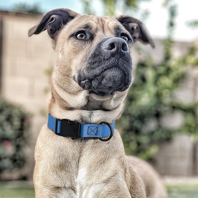 Dogline Durable Biothane Waterproof Collar for Dogs - Odor-Resistant Coated Webbing, Quick-Release Design, Comfortable Adjustable Fit, 5/8" W by 10-14" L, Cerulean Blue