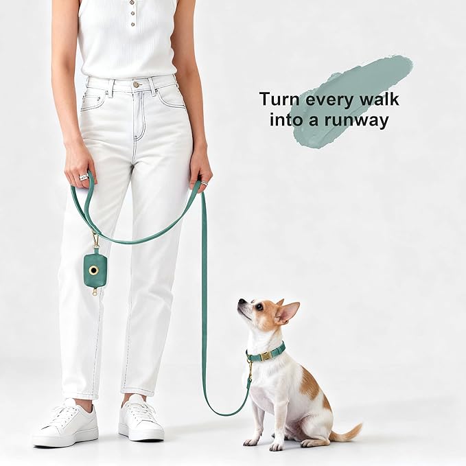 Didog Soft PU Leather Dog Collar, Stylish Quick Released Dog Collars for Small Dogs, Easy Clean Adjustable Pet Collar for Daily Walking, Green, S Fit 10-16" Neck