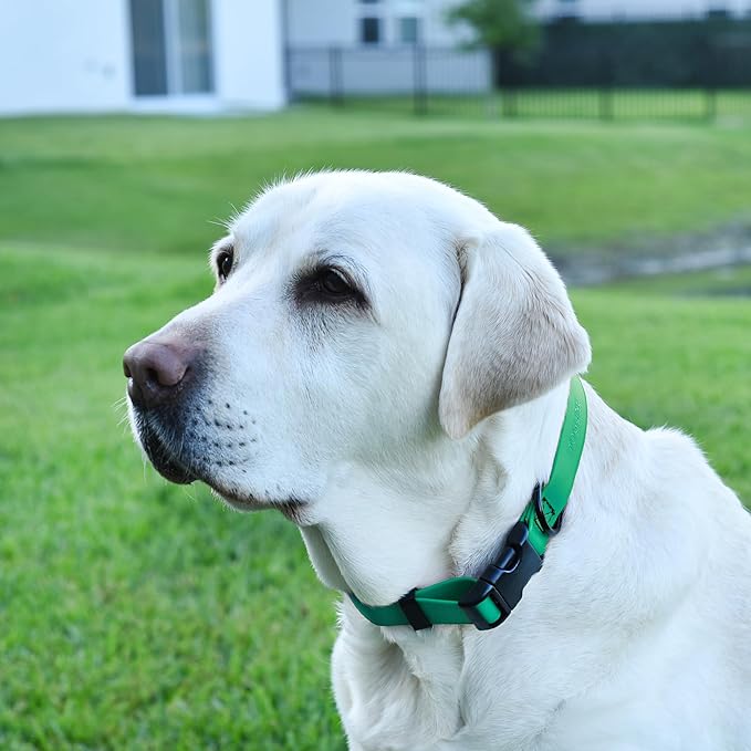 Dogline Durable Biothane Waterproof Collar for Dogs - Odor-Resistant Coated Webbing, Quick-Release Design, Comfortable Adjustable Fit, 5/8" W by 10-14" L, Teal