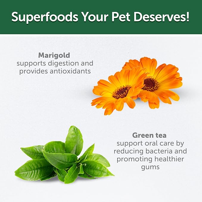 Nature's Protection Dental Chews for Dogs - Grain Free Dental Sticks for Puppy - Dog Teeth Cleaning Treats for Small & Large Breed Dogs Bad Breath (Superior Care - Insects, 5.29 oz)