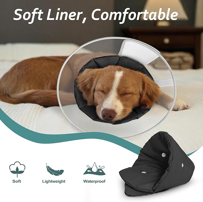 Dog Cone Collar with Snap-on Detachable Soft Liner, Lightweight Transparent Elizabethan Alternative to Stop Licking, for Spay Neuter Surgery Recovery, for Medium Large Small Dogs (Light Black,2XL)