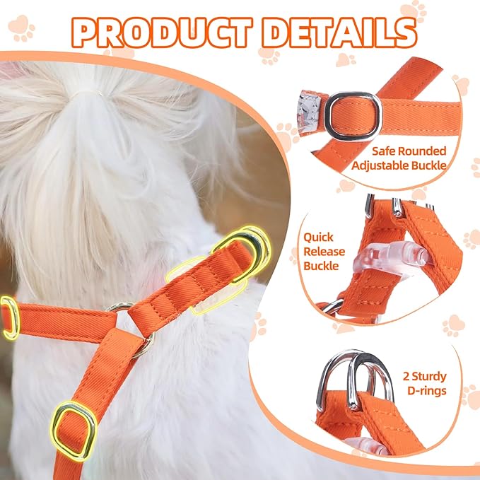 PUPTECK Dog Harness and Leash Set Small Sized, Step-in Cute Puppy Harness, Soft Lightweight Padded Vest, Escape Proof No Pull Pet Harnesses Easy for Walking, Flower Orange, M