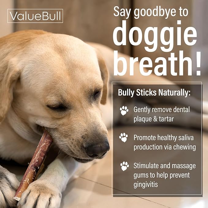 ValueBull Bully Sticks for Dogs, Medium 6 Inch, 25 Count - All Natural, Grass Fed, Single Ingredient, Long Lasting Dog Treats