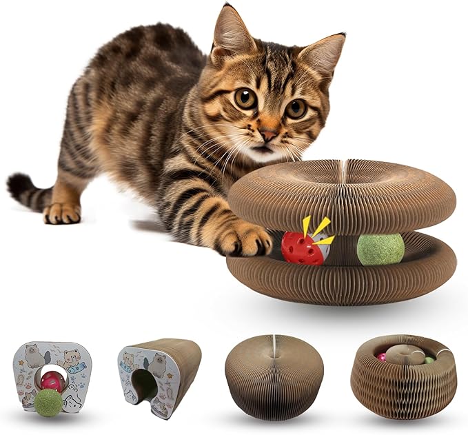 LGYJQTCMG Magic Organ Cat Scratcher Adventure Toy with Bell and Catnip Balls Toys Foldable Recyclable Accordion Kitten Toy Ultimate Interactive Mental & Physical Exercise Cat Toys for Indoor Cats