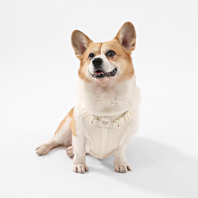 HNS1002L Arlo Medium Adjustable Soft Padded No Pull Pet Harness with 3 Buckles and 3 Leash Clips, Bailey