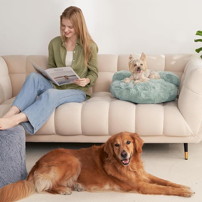 EHEYCIGA Small Dog Bed and Cat Couch - Fluffy Faux Rabbit Fur Pet Sofa with Washable Removable Cover, Waterproof and Non-Slip, 26 Inch, Sage Green