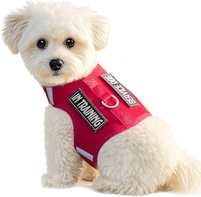 Dog Harness for Puppy – Adjustable Reflective Easy Put On Soft Mesh Vest for Small Dogs with 2 Patches (Burgundy Red,XXXS)