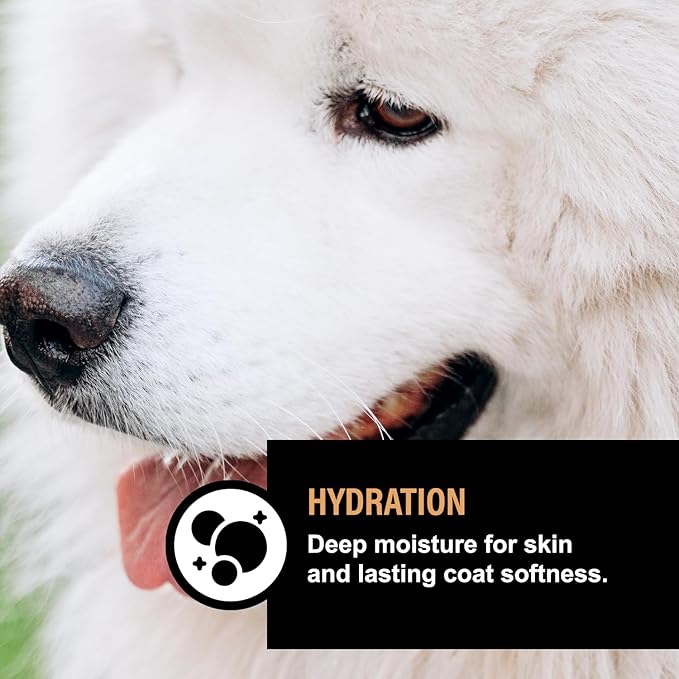 Dog Skin & Coat Lotion – Fragrance-Free Moisturizing Dog Treatment for Dry, Itchy Skin – Hydrating Skin & Coat Supplement for Pups – 4 fl oz
