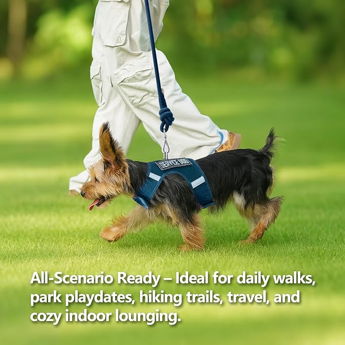 Dog Harness for Puppy – Adjustable Reflective Easy Put On Soft Mesh Vest for Small Dogs with 2 Patches (Prussian Blue,L)