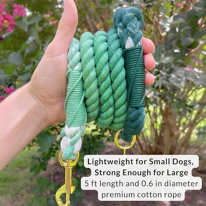 DJANGO Cotton Rope Dog Leash 5ft – Handcrafted Dog Leash and Green Braided Leash for Small, Medium, Large Dogs – Durable 5 Foot Training Lead with Gold Hardware and Whipped Ends – Forest Green Ombre