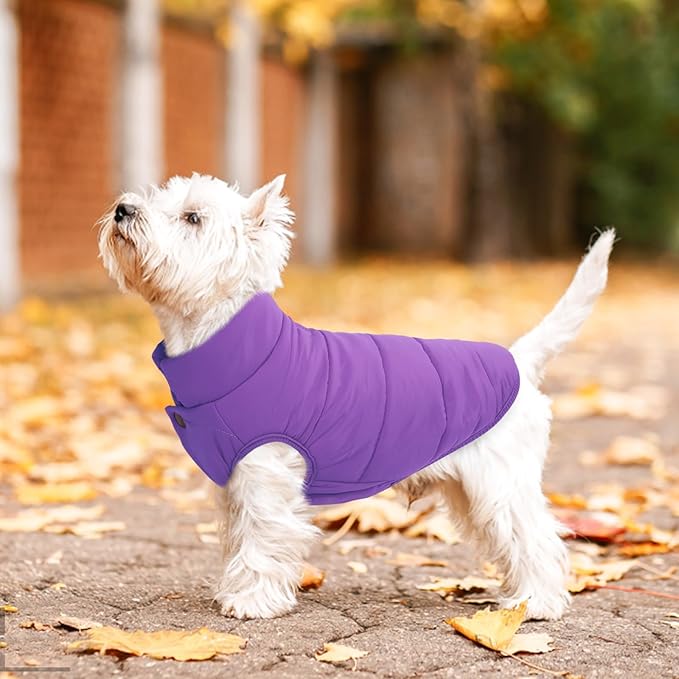 ASENKU Dog Winter Coat - Waterproof Windproof Dog Jacket, Warm Snowproof Doggie Puffer Vest for Cold Weather, Lightweight Snow Coats for Small Medium Large Dogs (Purple, 3XL)