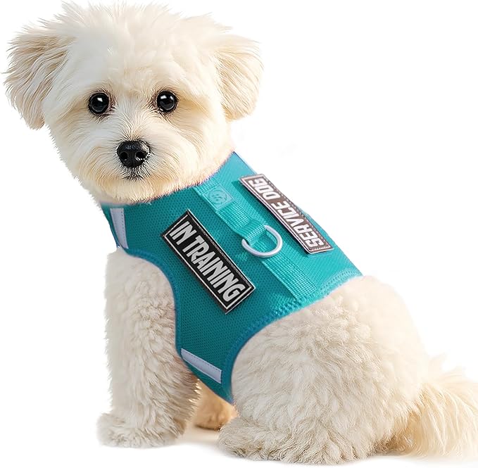 Dog Harness for Puppy – Adjustable Reflective Easy Put On Soft Mesh Vest for Small Dogs with 2 Patches (MARRS Green,XXXS)