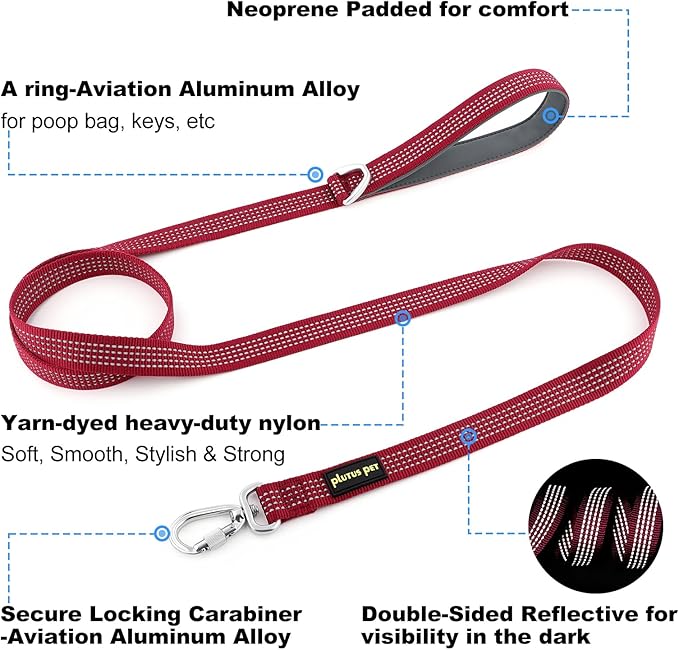 Plutus Pet Heavy Duty Dog Leash with Lockable Aluminum Carabiner, 4/6 Feet Long, Double-Sided Reflective Nylon, Padded Handle, for Puppy, Small, Medium and Large Dogs (Burgundy Red, 1" x 6')