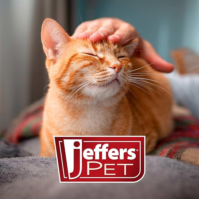 Jeffers Pet Vanilla Walnut Conditioning Shampoo for Dogs & Cats, 1 Gallon – Moisturizing, Soap Free Formula with Coconut & Vanilla Extract for Soft, Healthy Coat, Home Pet Care, Fresh Scent