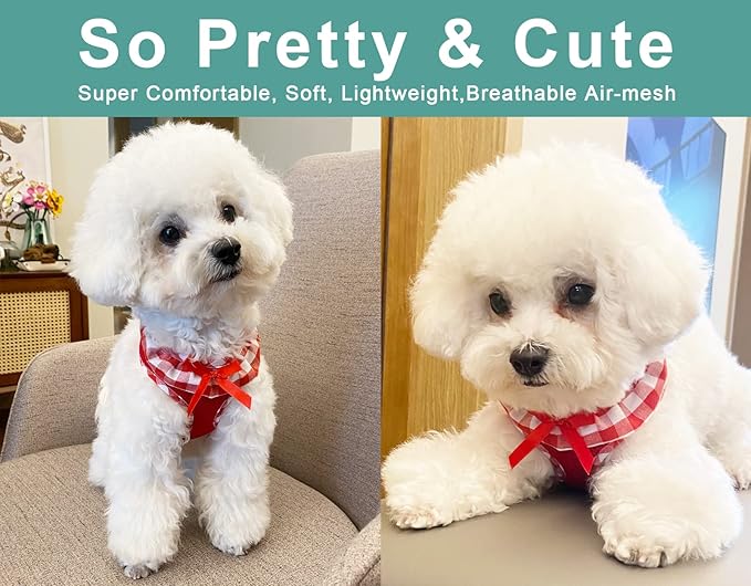 SuperBuddy Upgraded Soft Mesh Dog Harness, Super Breathable Lightweight Pet Harnesses for Puppy Dogs Outdoor Walking, Red Dog Harness and Dog Leash Set Packing -Medium