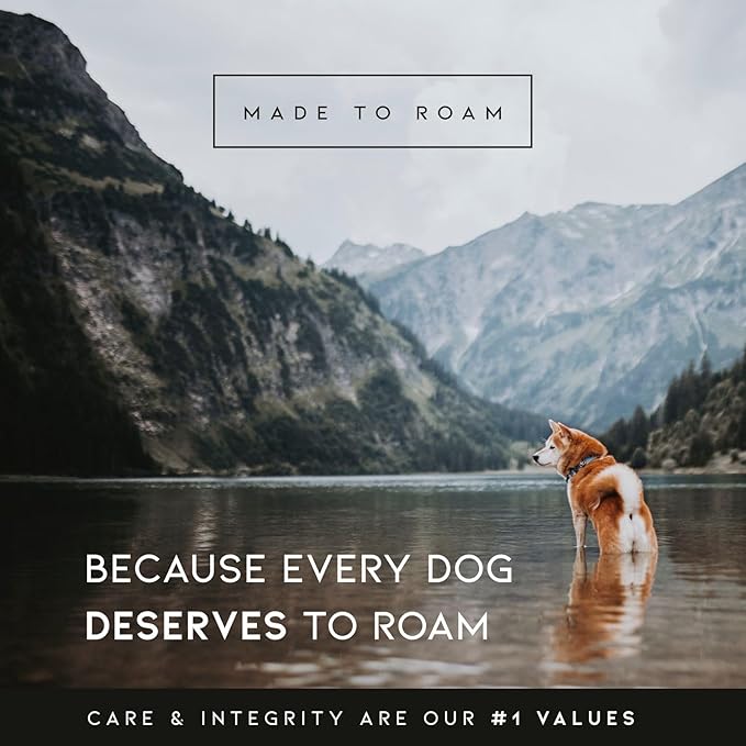 Made to ROAM Premium Dog Collar - Adjustable Heavy Duty Nylon Collar with Quick-Release Metal Buckle (New York Afterlight, Classic Size 5)