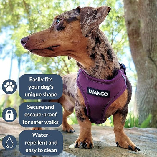 DJANGO Adventure Dog Harness - Stylish, and Durable Small Dog Harness for Outdoor Adventures and Everyday Wear - Plum Purple Neoprene Adjustable Harness for Dogs with Reflective Piping, Brass D-Ring