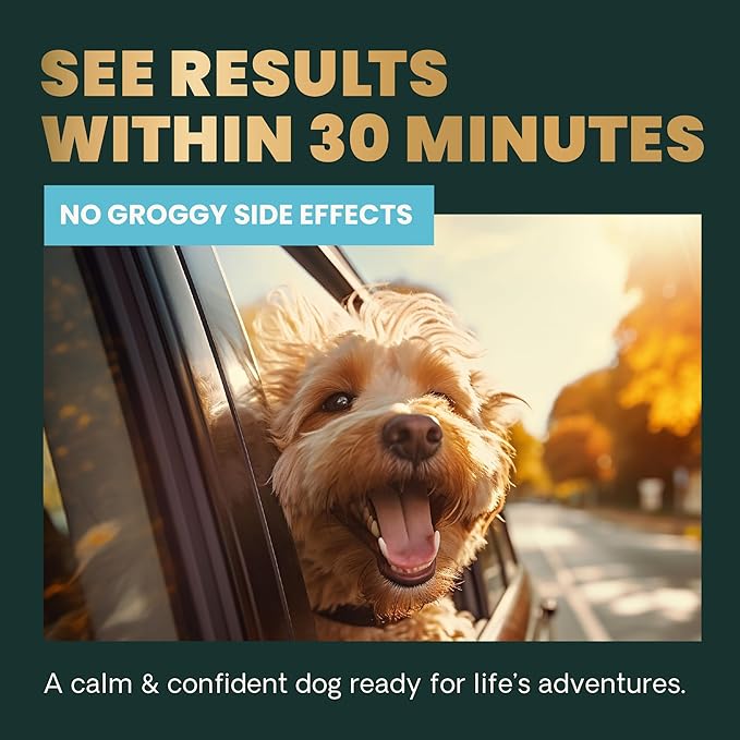 VetriScience Calm & Confident Chews, Composure Clinically Tested Calming and Anxiety Supplement for Dogs, Reduce Stress and Fear, Ideal for Thunderstorms, Fireworks and Travel, Bacon, 60 Count