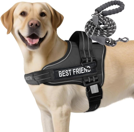 AUROTH Dog Harness and Leash Set, Soft Padded Service Dog Vest with 5.25FT Dog Leash, No Choke, Easy On Pet Vest, Adjustable Reflective No Pull Dog Harness for Large Dogs, Easy Walking and Training