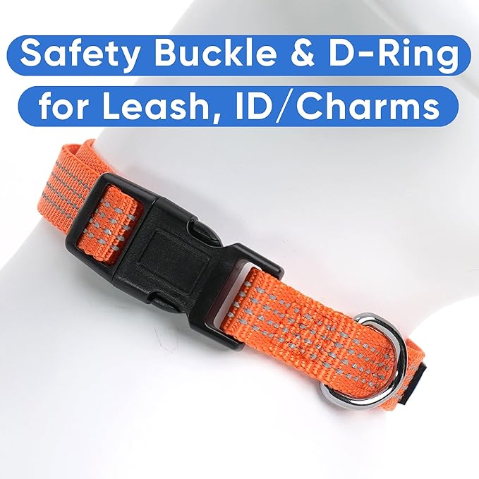 Pawtitas Reflective Dog Collar Adjustable Dog Collars for Small Dogs Puppy Collar Small Dog Collar Orange Dog Collar