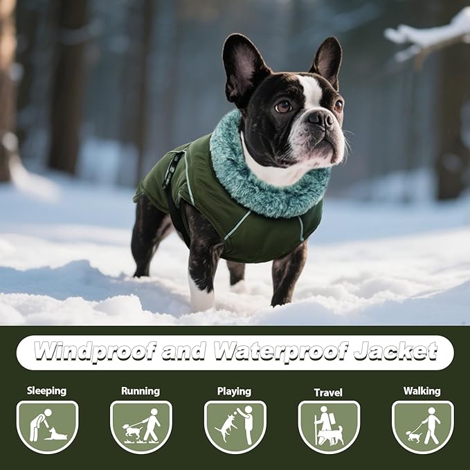 DENTRUN Winter Warm Dog Coat Reflective Jacket with Turtleneck for Cold Weather, Adjustable Buckle Windproof Water Repellent, Thick Snowsuit Fleece Vest for Small, Medium, Large Dogs, Green, S
