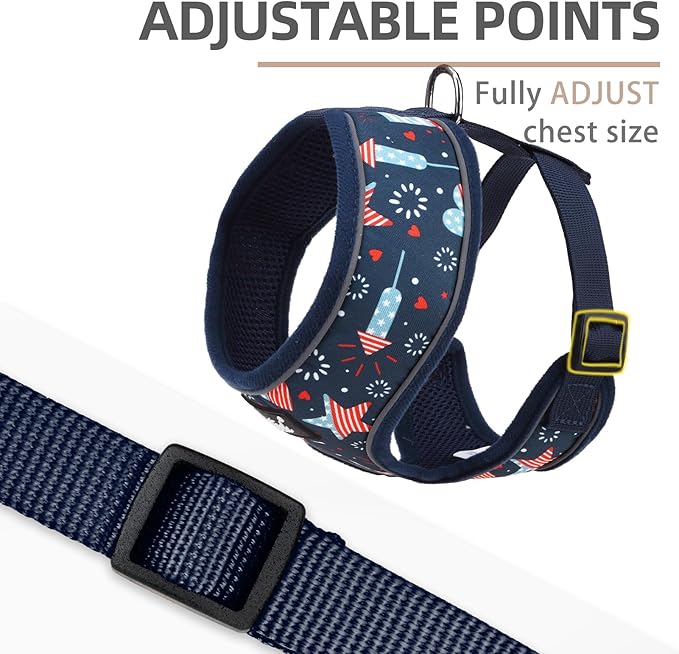PUPTECK Soft Mesh Dog Harness and Leash Set Pet Puppy Cat Comfort Padded Vest No Pull Harnesses, Independence Dark Blue, M