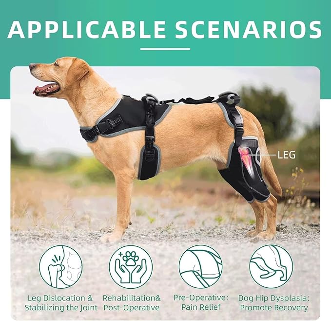 Dog Knee Brace for ACL/CCL Injuries,Torn Ligament,Luxating Patella - Rear Leg Support,Pain Relief,Joint Warmth,Black,Upgraded,Both Legs,Size:L