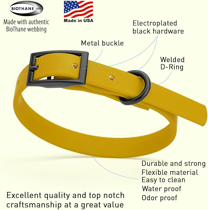 Dogline Biothane Coated Webbing Dog Collar with Black Metal Hardware: Durable Easy-Clean Everyday Collar for Dogs - Comfortable Adjustable Odor-Resistant Pet Collar, W1/2" x L9-12, Treasure Gold