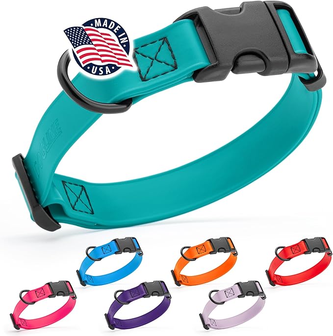 Dogline Durable Biothane Waterproof Collar for Dogs - Odor-Resistant Coated Webbing, Quick-Release Design, Comfortable Adjustable Fit, 3/4" W by 12-19" L, Teal
