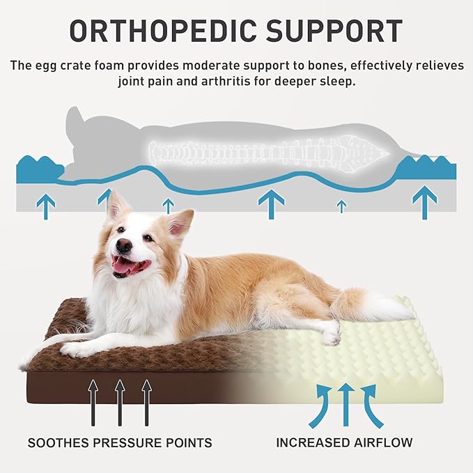 Dog Crate Bed Waterproof Dog Beds for Large Pets Rose Velvet Soft Fluffy Washable with Removable Cover & Anti-Slip Bottom, 41 x 27 Inch, Brown