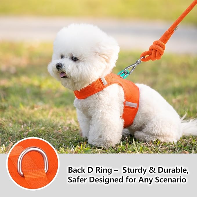 Dog Harness for Puppy – Adjustable Reflective Easy Put On Soft Mesh Vest for Small Dogs with 2 Patches (Orange,XXXS)