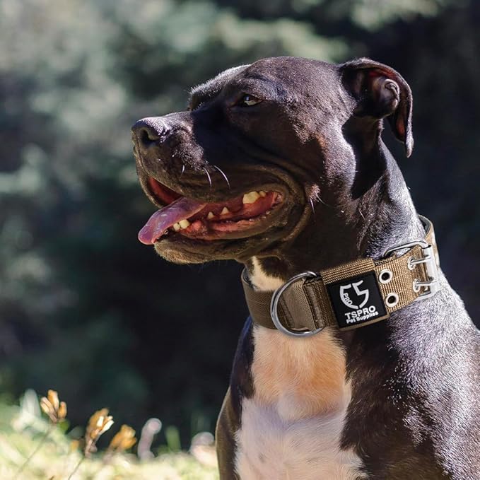TSPRO Tactical Dog Collar, Adjustable, with Patch & Double Needle Metal Buckle, Heavy Duty for Medium to Large Dogs, Durable for Walking, Running, Hiking & Training (Khaki M+)