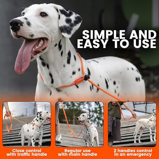 Howgo Dog Slip Lead Dog Leash, Training Lead, No-Pull Slip Leash and Collar, Heavy Duty & Durable Nylon, Padded Handle, for All Breeds (Green, 5FT)
