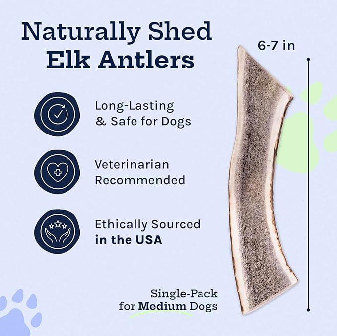 Good Trouble Premium Elk Antlers for Medium Dogs – 1 Pack Split - All-Natural, Shed Antler Chews for Dental Health & Calming - Durable Dog Bones - Cruelty-Free, North American Sourced